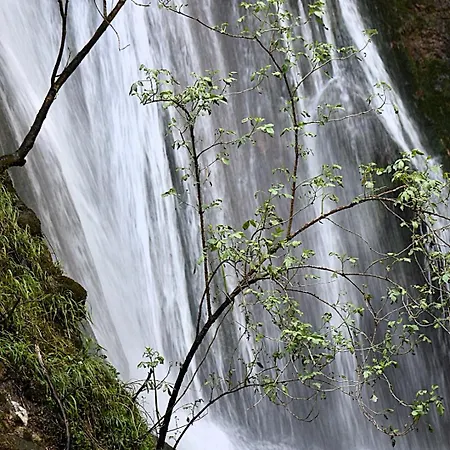 Trésor En Bois Bed & Breakfast Autoire