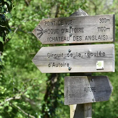 Trésor En Bois Autoire