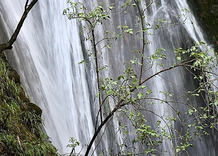 Tresor En Bois D'hotes Bed & Breakfast Autoire